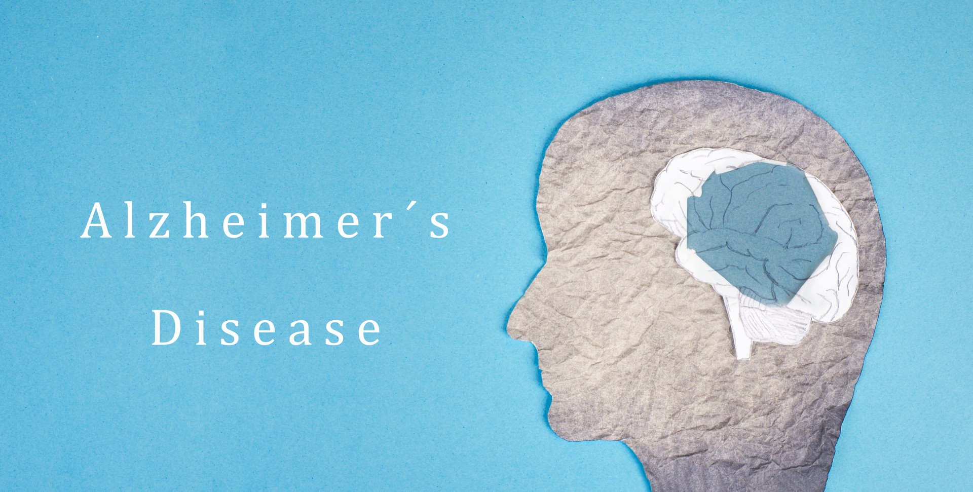 Alzheimer disease is standing on a paper, silhouette of a head with a damaged brain, dementia diagnosis, Parkinson´s awareness day